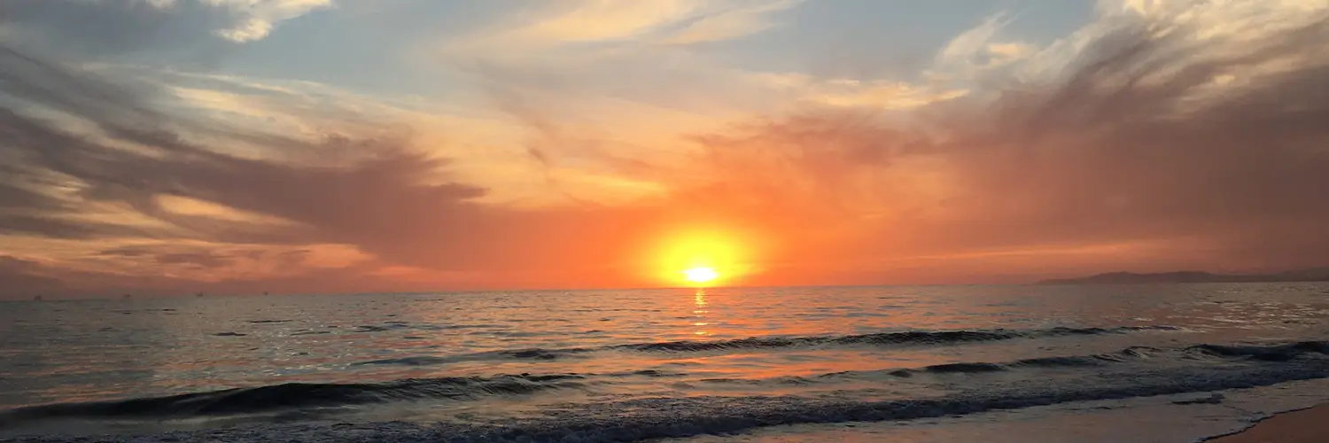 Banner 0